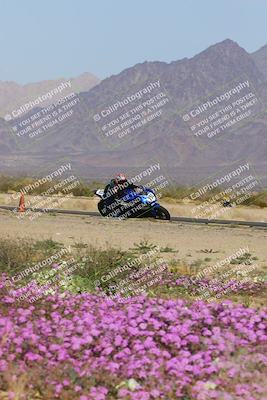 media/Feb-04-2023-SoCal Trackdays (Sat) [[8a776bf2c3]]/Turn 15 Inside Blooming (1050am)/